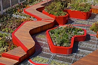 Burnley Living Roofs